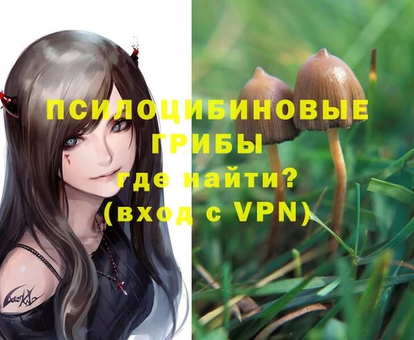 скорость Белокуриха